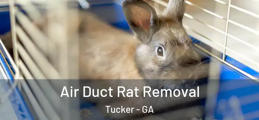 Air Duct Rat Removal Tucker - GA