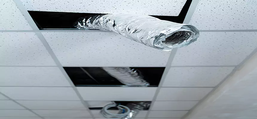 Our Air Duct Pet Hair Removal Services in Tucker, GA