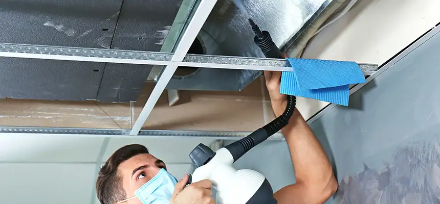 Our Air Duct Rodent Removal Services in Tucker, GA