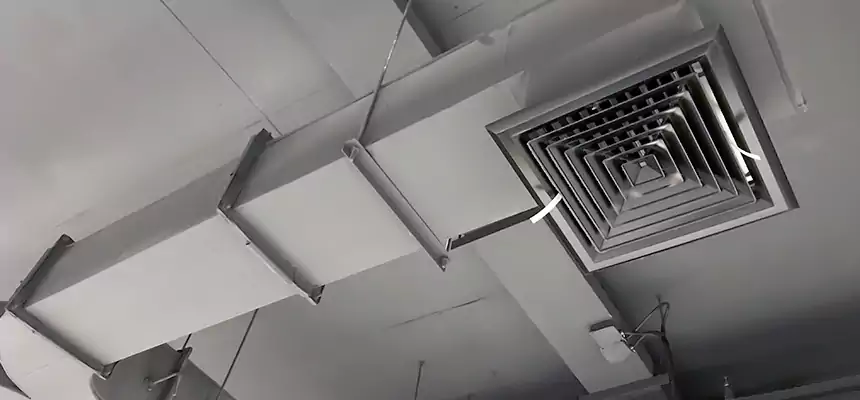 Restorative Allergy Relief Vent Cleaning – Coil, Blower & Housing Detail in Tucker