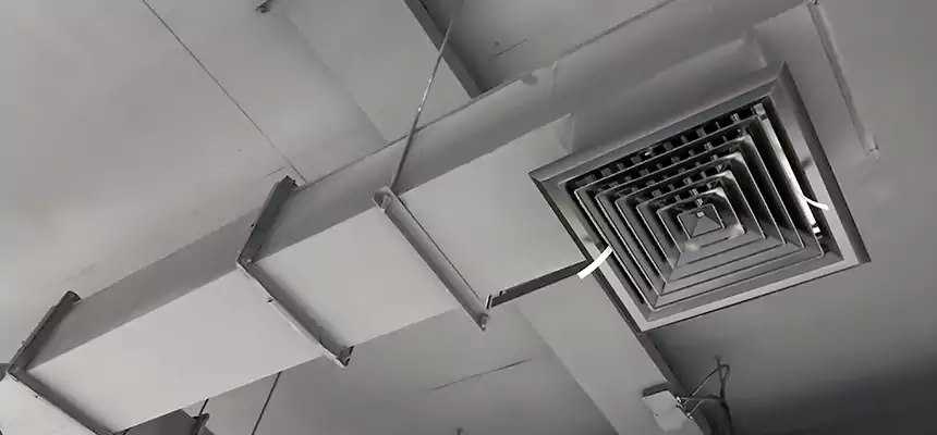 Our Rodent Droppings In Vents Services in Tucker, GA