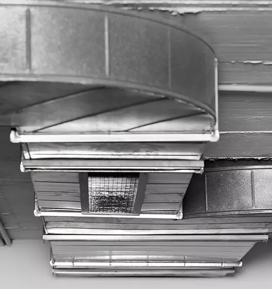 Professional Air Duct Pet Hair Removal in Tucker, GA