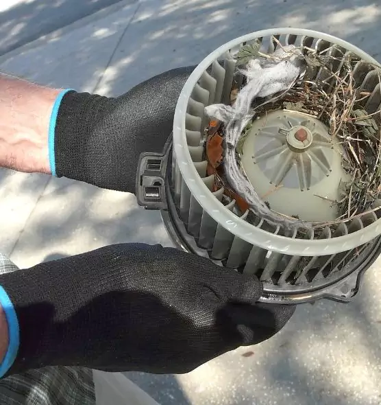 About Air Duct Rat Removal in Tucker, GA